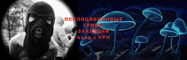 mdpv Каменка