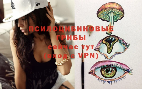 спиды Каменногорск